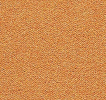 Ковровая плитка Tessera Chroma 3623 Tangerine фото 1 | FLOORDEALER